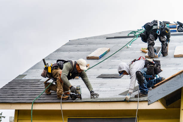 Professional Roofing technician working in De Soto, IA